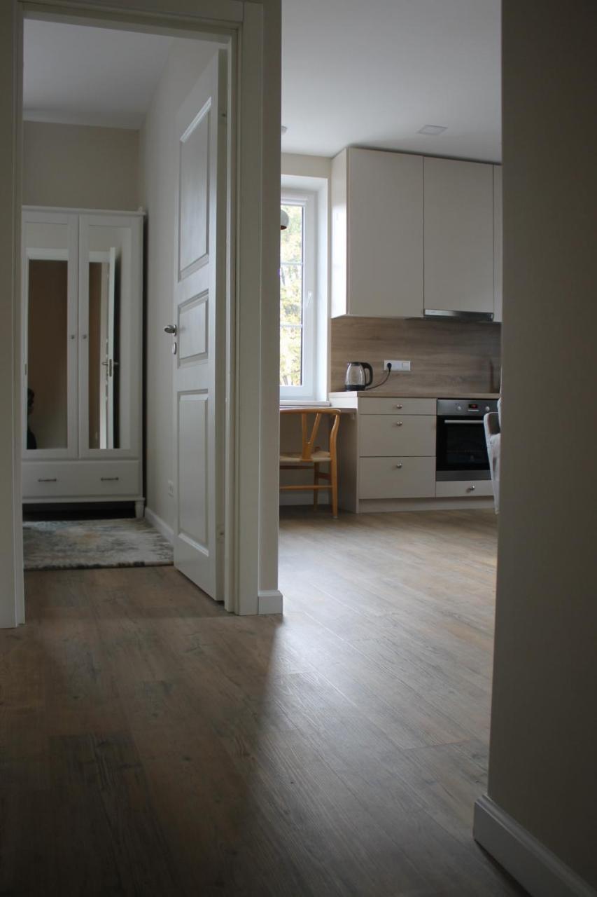 Smartflat & New Apartment City Center Каунас Екстериор снимка