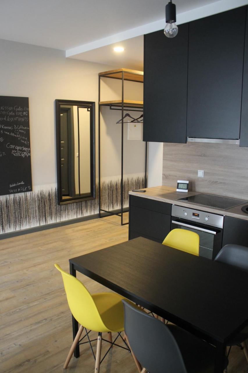 Smartflat & New Apartment City Center Каунас Екстериор снимка